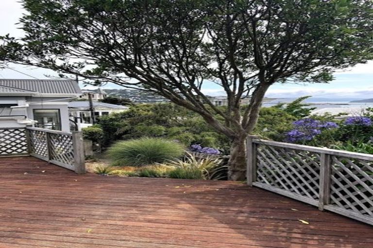 Photo of property in 29 Naughton Terrace, Kilbirnie, Wellington, 6022