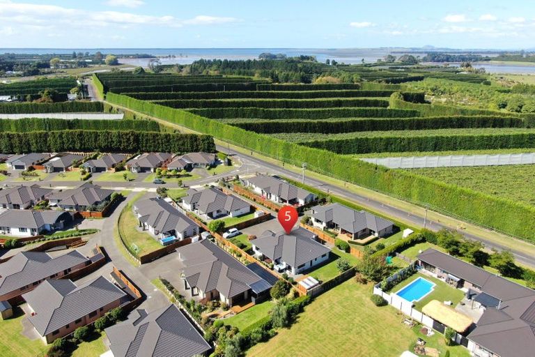 Photo of property in 5 Layla Place, Katikati, 3178