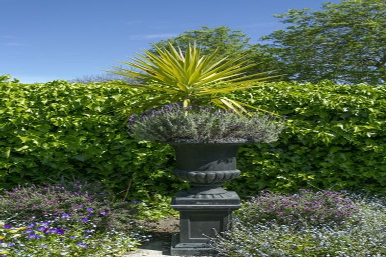 Photo of property in 21 Mona Square, Ashburton, 7700