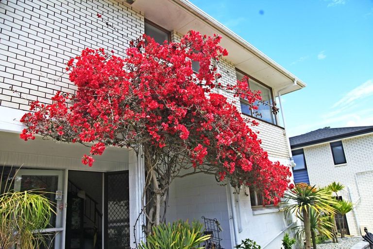 Photo of property in 14 Nereus Place, Mairangi Bay, Auckland, 0630