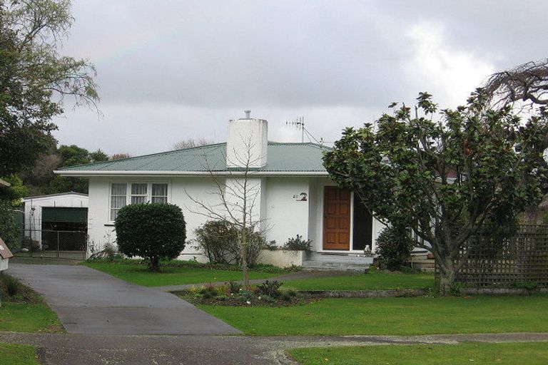 Photo of property in 20 Saint Albans Avenue, Hokowhitu, Palmerston North, 4410
