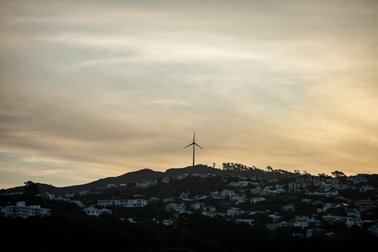 Photo of property in Trinity Apartments, 502/19 College Street, Te Aro, Wellington, 6011