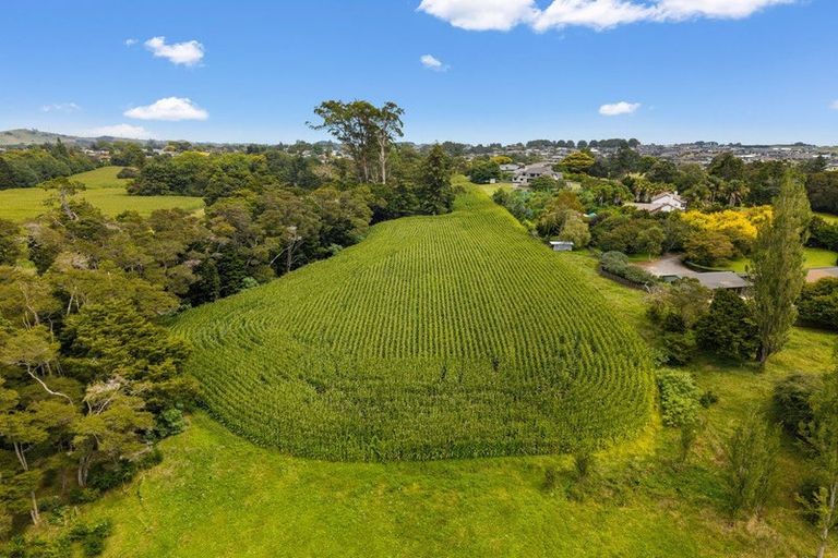 Photo of property in 6 Seales Road, Morrinsville, 3374