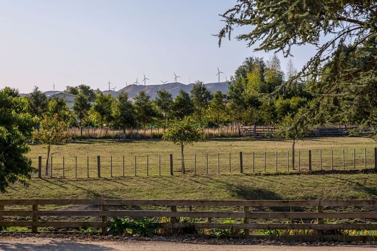 Photo of property in 142 Vogel Street, Woodville, 4920