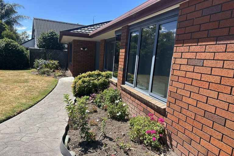 Photo of property in 49 Chelsea Avenue, Richmond, 7020