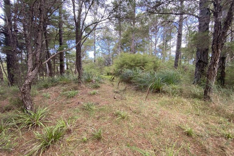 Photo of property in 2 Pupu Valley Road, Takaka, 7182