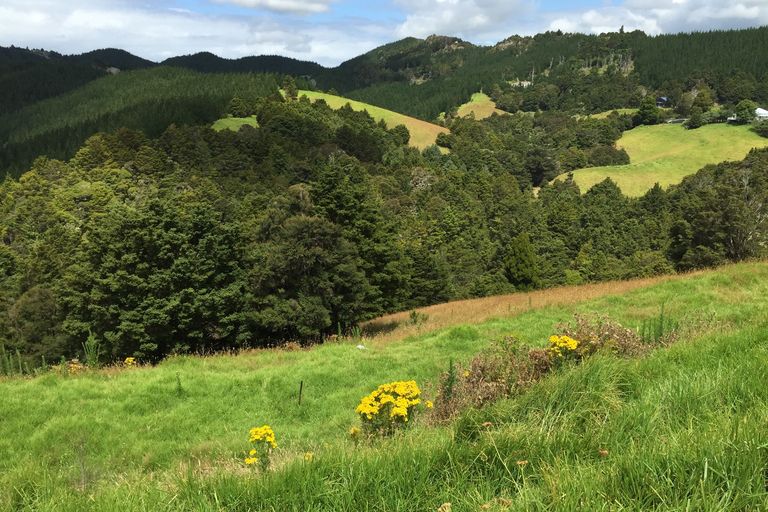 Photo of property in 189 Mangahui Road, Whareora, Whangarei, 0175