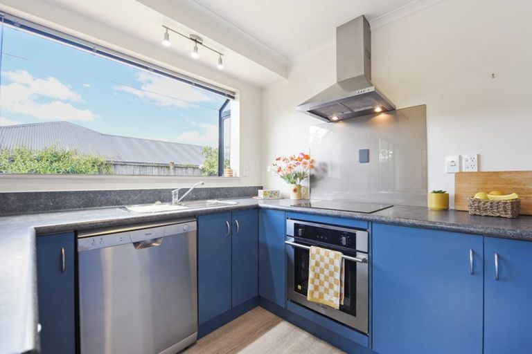 Photo of property in 15 Appaloosa Avenue, Richmond, 7020