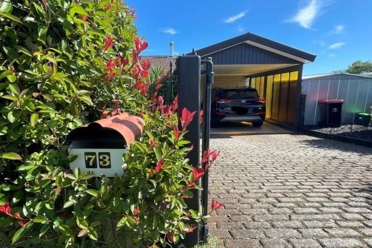 Photo of property in 73 Sutherland Road, Brookfield, Tauranga, 3110