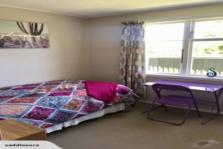 Photo of property in 56 Hastings Street, Southbridge, 7602