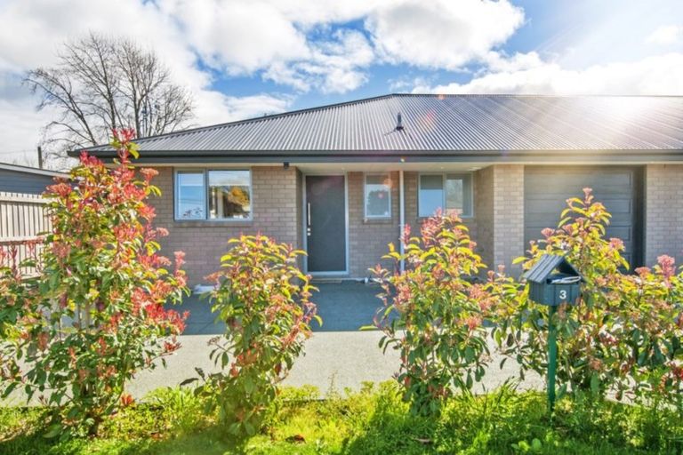 Photo of property in 3 Johnston Street, Leeston, 7632