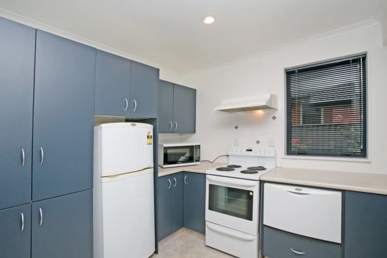 Photo of property in 152 Catherine Street, Windsor, Invercargill, 9810