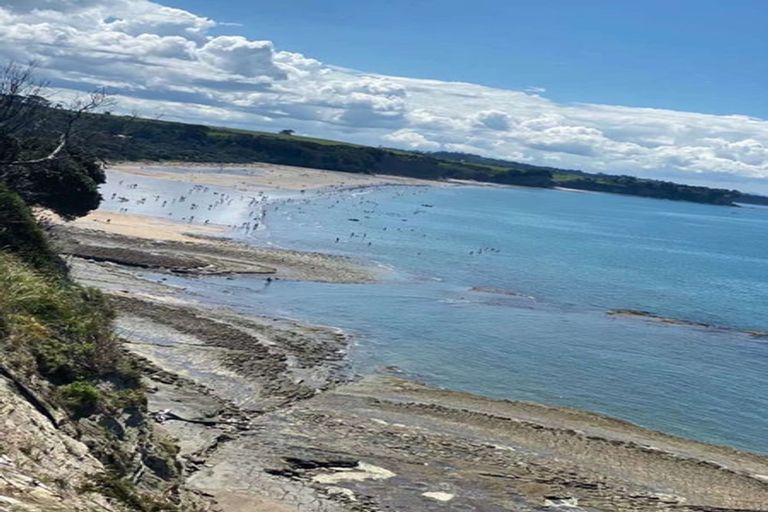 Photo of property in 4 Cliff Road, Torbay, Auckland, 0630