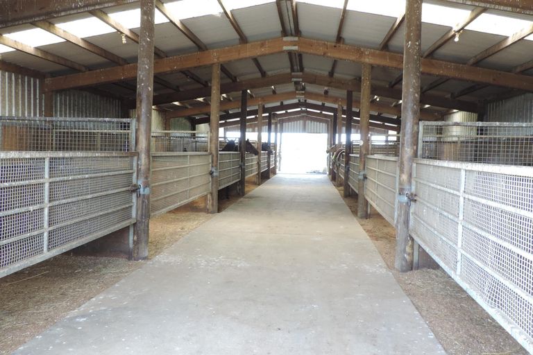 Photo of property in 1463 Alexandra Road, Waharoa, 3474