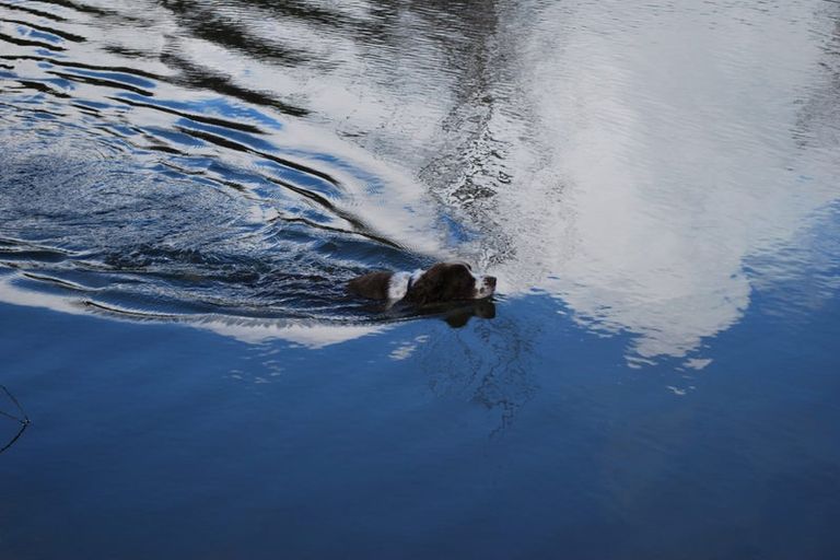 Photo of property in 113 Wayby Station Road, Wellsford, 0972