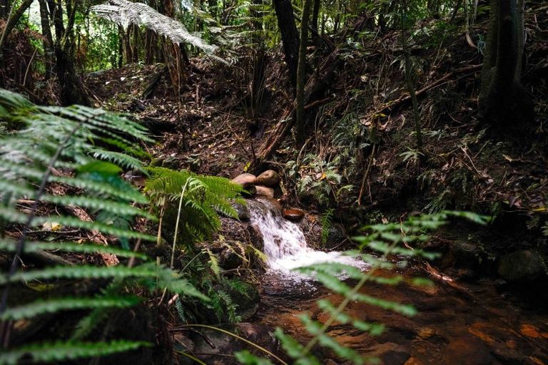 Photo of property in 7 Stoney Brook Lane, Kerikeri, 0230