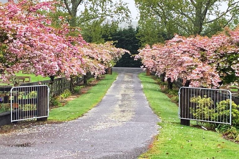 Photo of property in 463 State Highway 1, Wairakei, Taupo, 3384