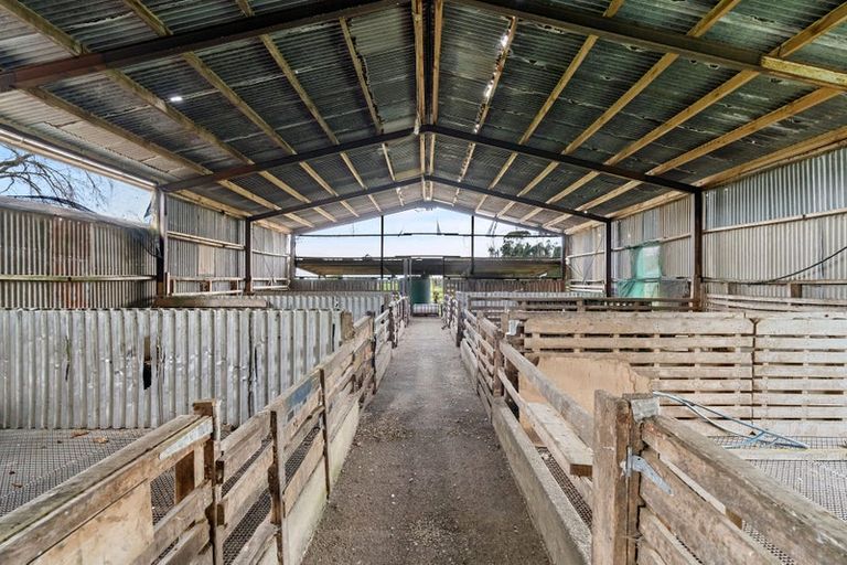 Photo of property in 459 Muhunoa Road East, Muhunoa East, Levin, 5570