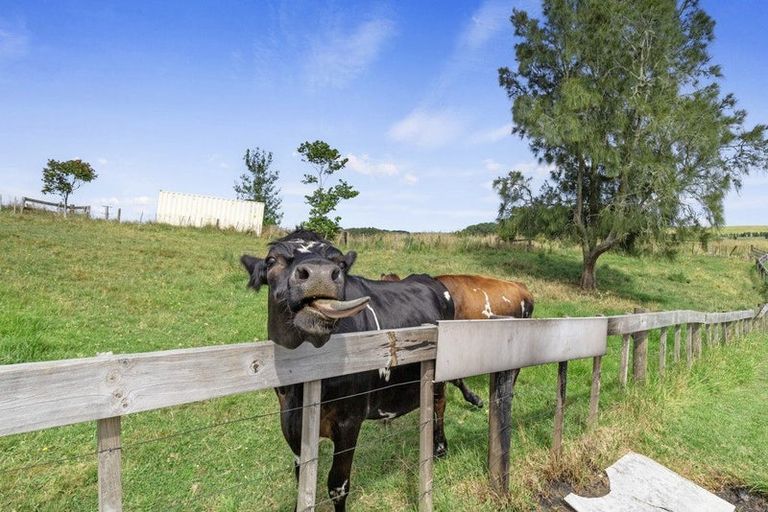 Photo of property in 254 Wattle Road, Whangamarino, Te Kauwhata, 3782