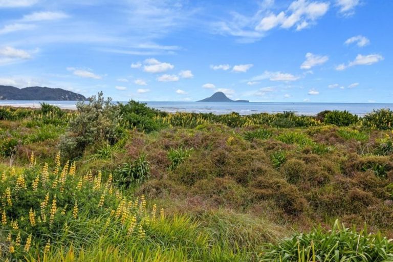 Photo of property in 279a Pohutukawa Avenue, Ohope, 3121