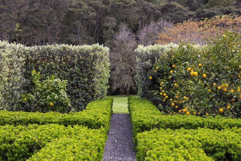 Photo of property in 60 Robinson Road, Coatesville, Albany, 0793