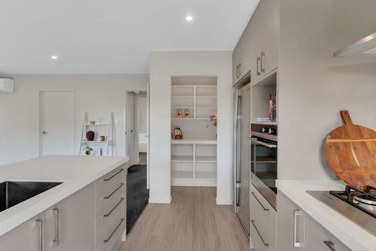 Photo of property in 55 Tauhinu Avenue, Lincoln, 7608