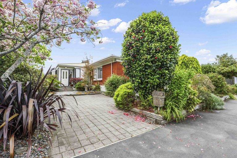 Photo of property in 22 Kensington Place, Fairfield, Hamilton, 3214