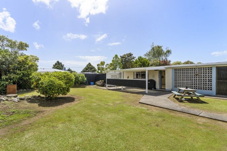 Photo of property in 19 Freyberg Street, Levin, 5510