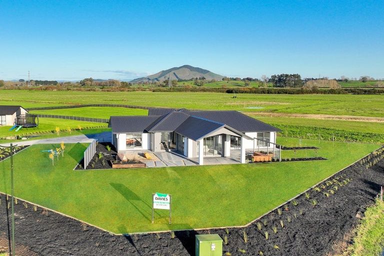 Photo of property in 46 Sherwin Street, Pirongia, 3802