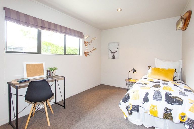 Photo of property in 19 Oakland Avenue, Saint Johns Hill, Whanganui, 4500