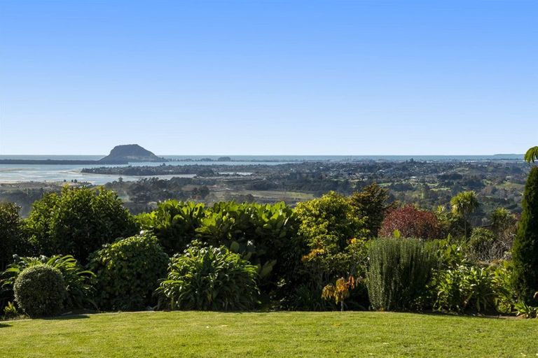 Photo of property in 16 Dawn View Place, Minden, Tauranga, 3176