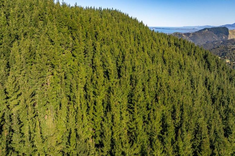 Photo of property in 184 Blue Duck Valley Road, Seaward Valley, Kaikoura, 7371