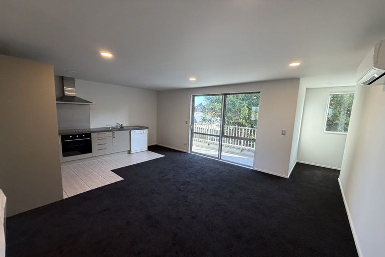 Photo of property in 172e Edgeware Road, Edgeware, Christchurch, 8013