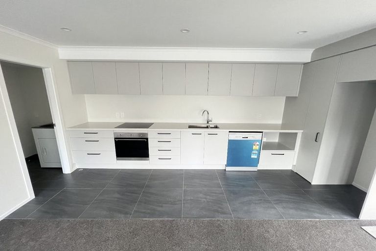 Photo of property in 101 Daniell Street, Newtown, Wellington, 6021