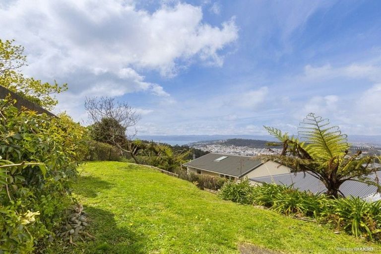 Photo of property in 39 Koromiko Road, Aro Valley, Wellington, 6012