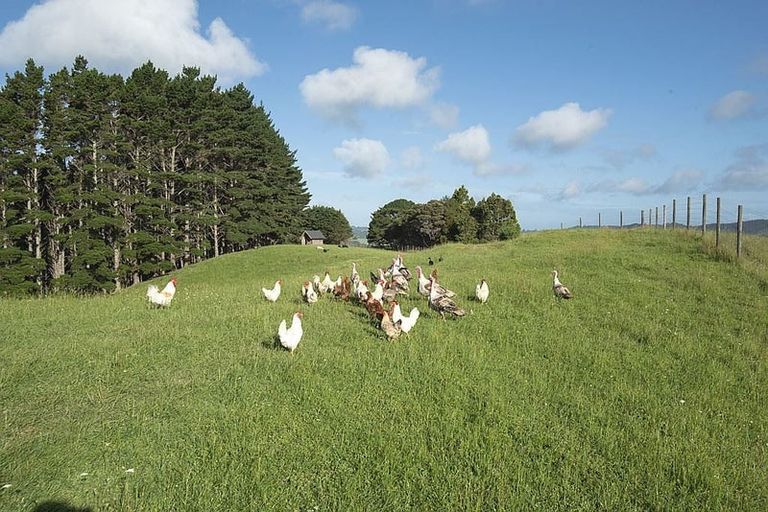 Photo of property in 132b Dormer Road, Waitoki, Helensville, 0875