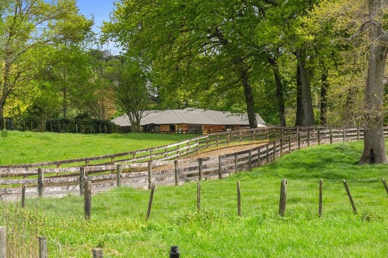 Photo of property in 81c Horrell Road, Morrinsville, 3374