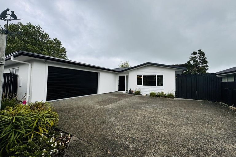 Photo of property in 36a Botanical Road, Takaro, Palmerston North, 4412