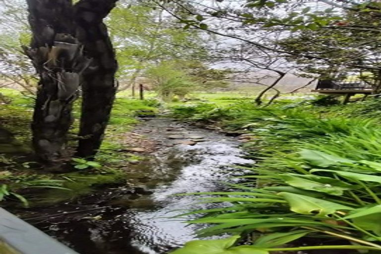 Photo of property in 806 Pohangina Road, Ashhurst, 4884