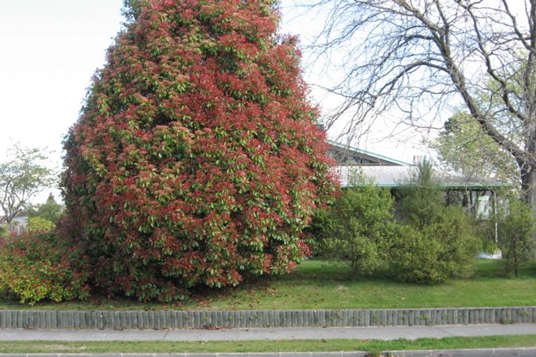 Photo of property in 54a Devon Street, Glenholme, Rotorua, 3010