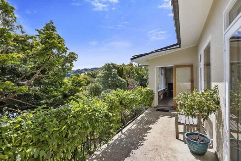 Photo of property in 47 Signal Hill Road, Opoho, Dunedin, 9010