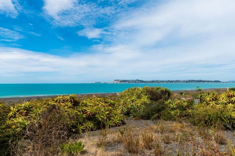 Photo of property in 25 Ferguson Street, Bay View, Napier, 4104