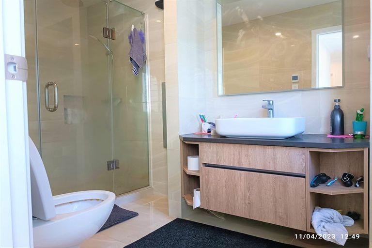 Photo of property in 119 Argento Avenue, Flat Bush, Auckland, 2019