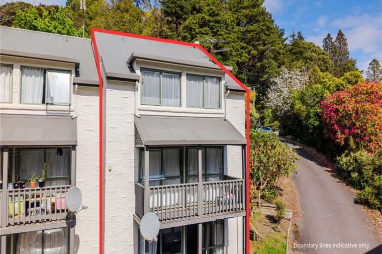 Photo of property in 63 Opoho Road, North East Valley, Dunedin, 9010