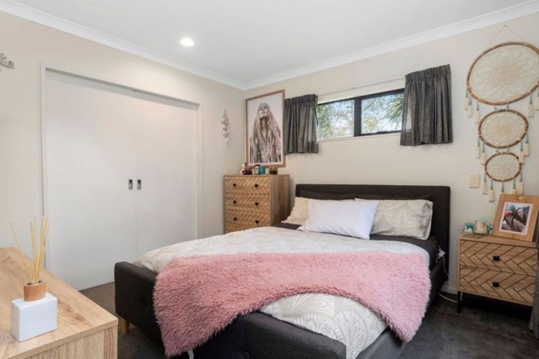 Photo of property in 49 Solomon Street, Brookfield, Tauranga, 3110