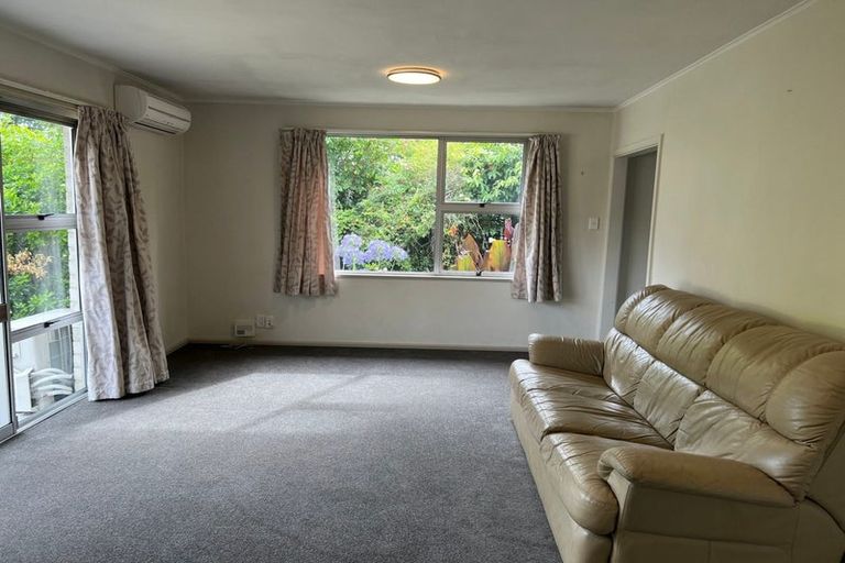 Photo of property in 142 Saint Albans Street, St Albans, Christchurch, 8014