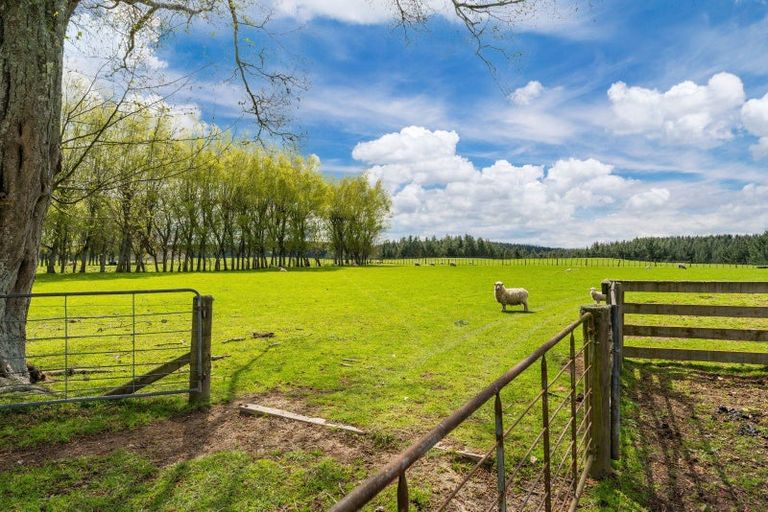 Photo of property in 367 Rawhiti Road, Reporoa, 3081