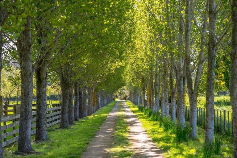 Photo of property in 186a Te Whiti Road, Homebush, Masterton, 5885