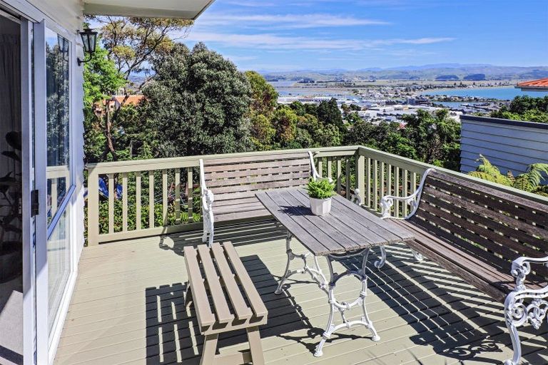 Photo of property in 10 Coleman Terrace, Hospital Hill, Napier, 4110