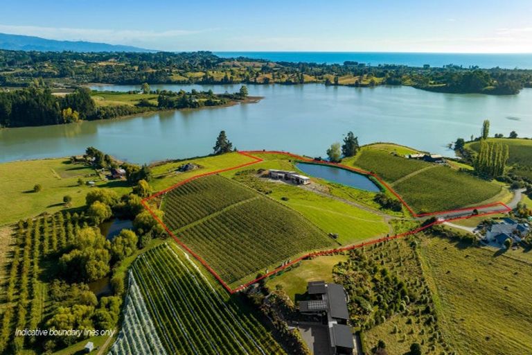 Photo of property in 46 Cardno Way, Bronte, Upper Moutere, 7173